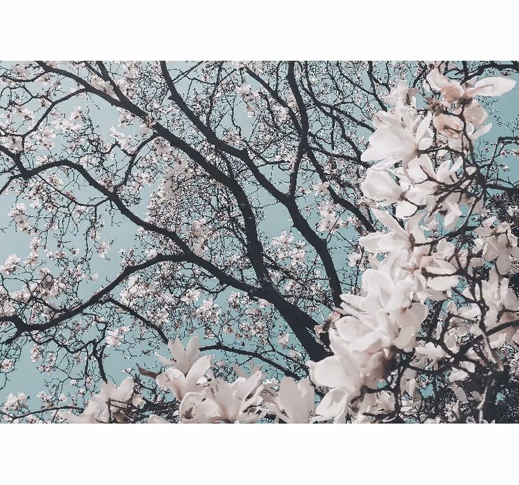 Elegáns japán cseresznyevirág redőnyök nappali - TenStickers