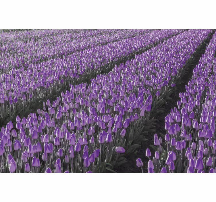 Tulipános mező redőnyök nappali - TenStickers