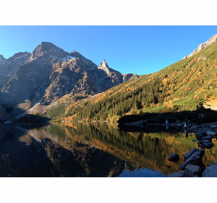 Zöld redőnyök tavaszi morskie oko stílusban - TenStickers