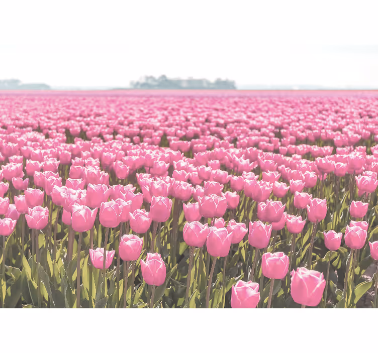 Rózsaszín tulipánmező redőnyök nappali - TenStickers