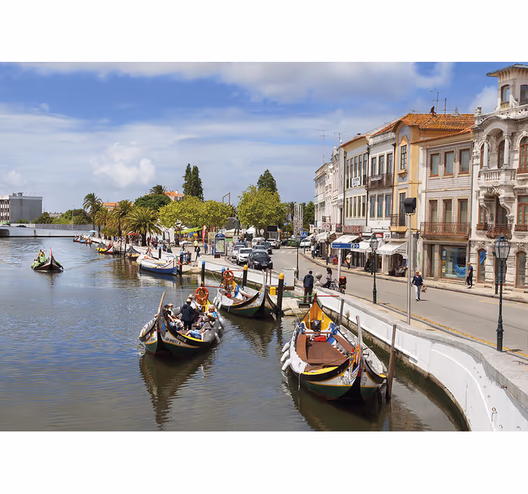 Aveiro moliçeiro redőnyök nappali - TenStickers