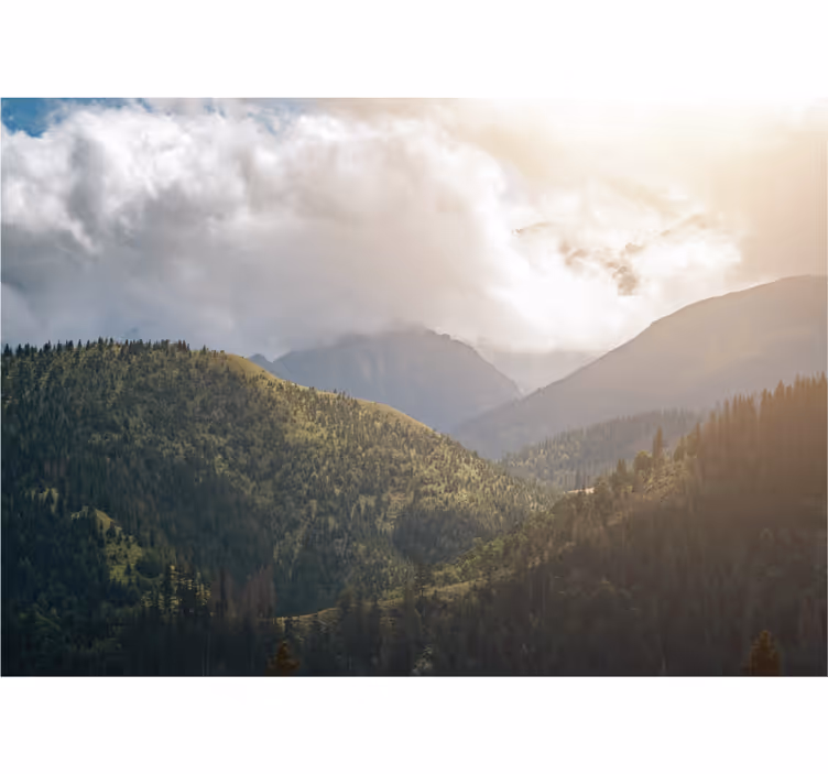 Tatra nemzeti park redőnyök nappali - TenStickers