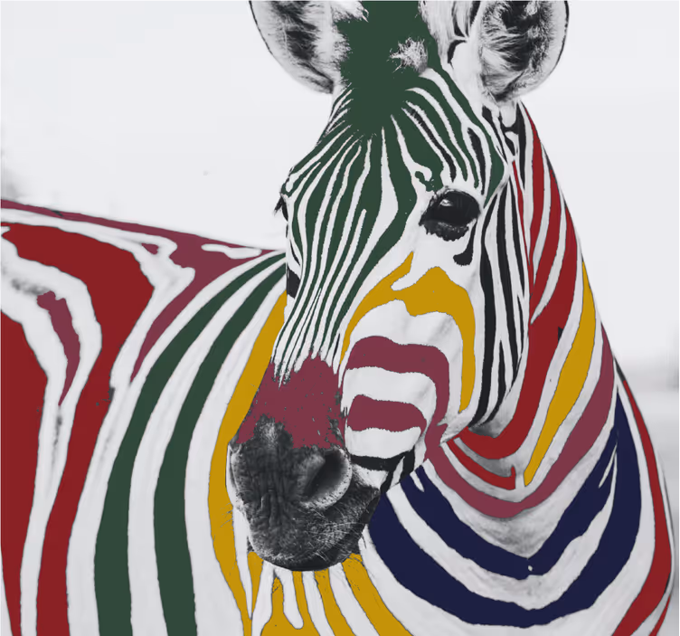Színes zebra festmény redőnyök nappalihoz - TenStickers