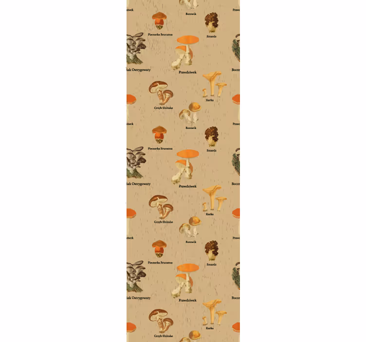 Redőnyök szüret - vintage gomba fajták - TenStickers