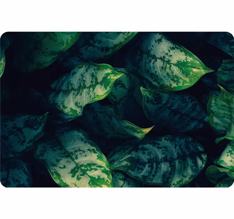 Redőnyök hálószoba maranta levelek - TenStickers