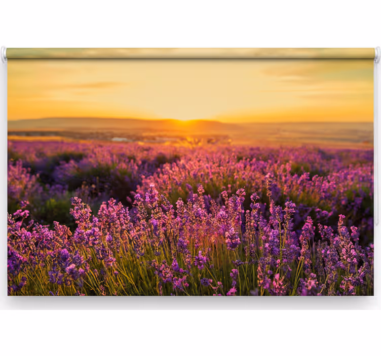 Panorámás provence redőnyök hálószoba - TenStickers