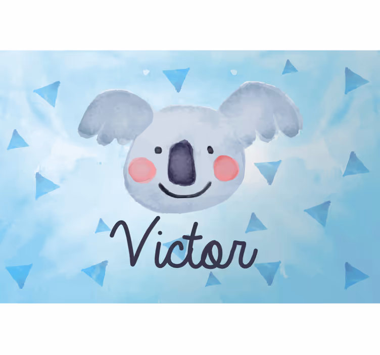 Redőnyök gyerekeknek koalával névvel - TenStickers