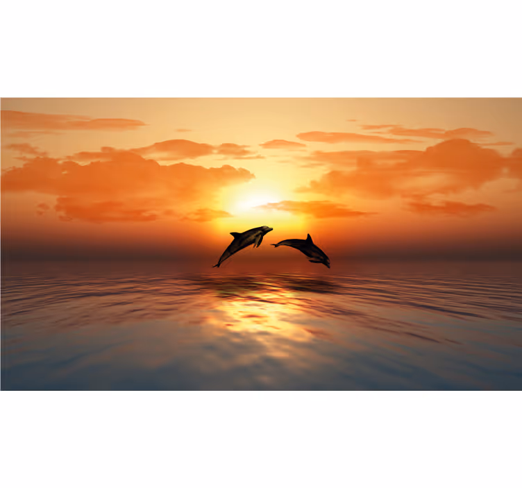 3d delfines fürdőszobai redőnyök - TenStickers