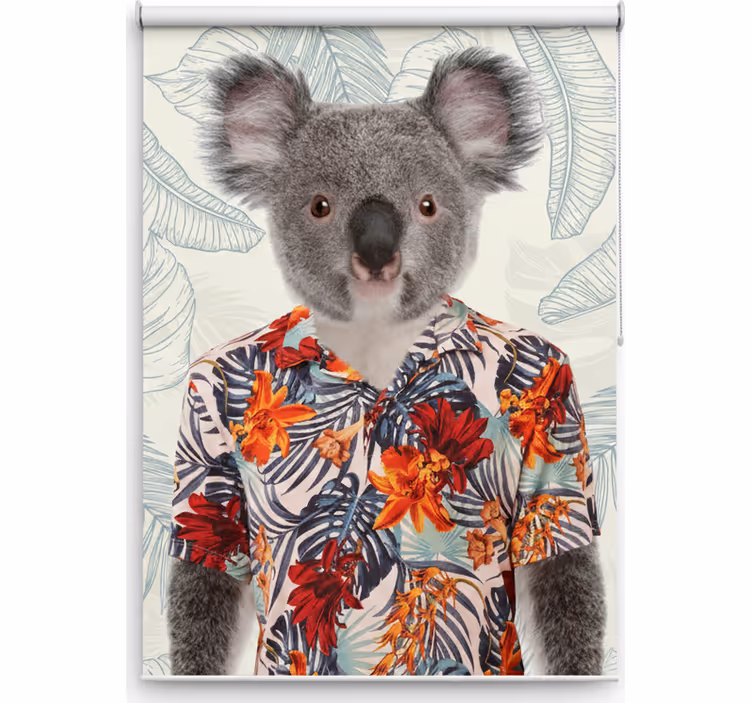 Elegáns koala redőnyök tizenéveseknek - TenStickers