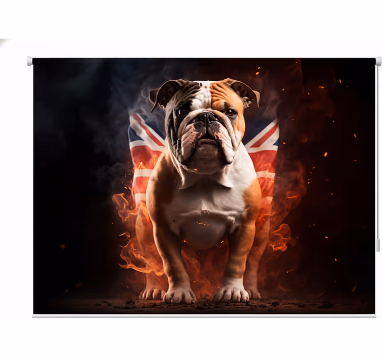 Tűzben égő brit bulldog redőnyök tizenéves - TenStickers