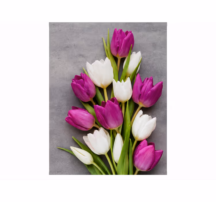 Lila redőnyök igazi tulipánok - TenStickers