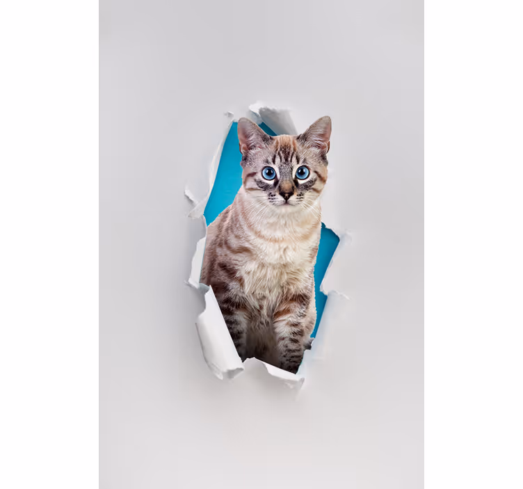Macska különféle állati Sávroló - TenStickers