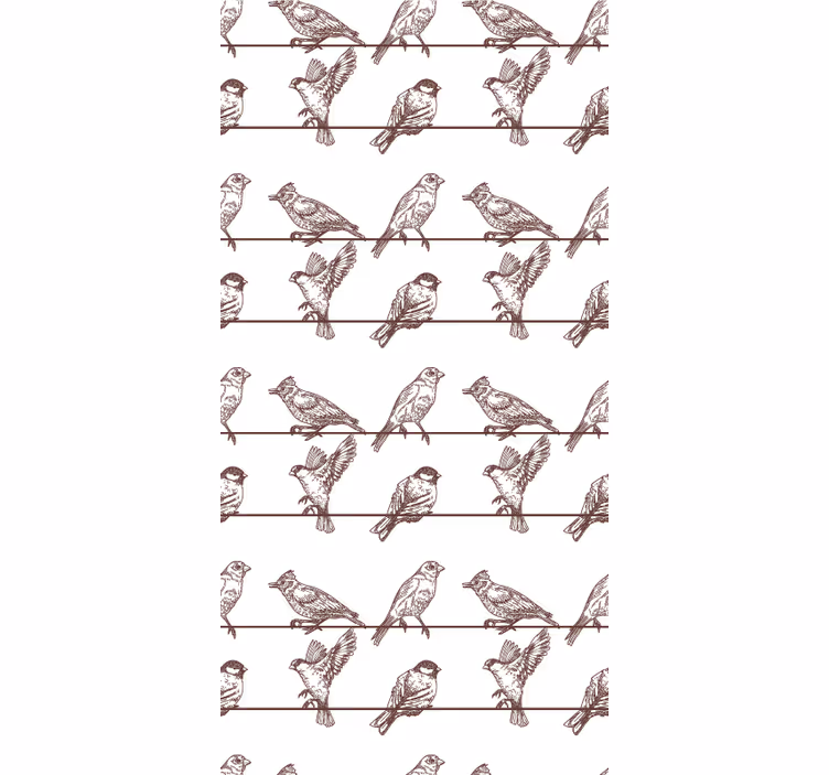 Kerti madarak különféle állati rolót terveznek - TenStickers