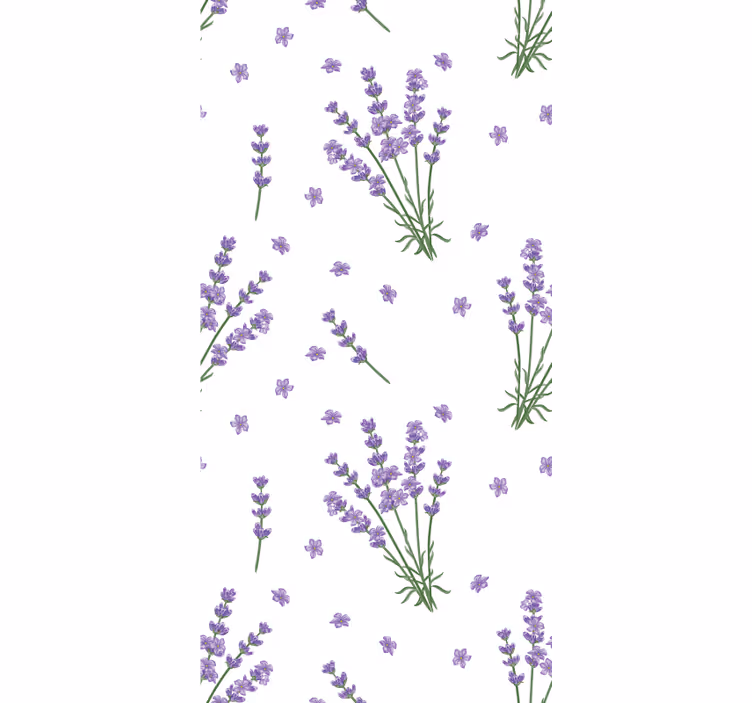Provence-i levendula növény virág Sávroló - TenStickers
