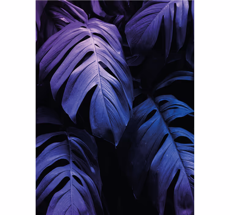 Monstera deliciosa lombozat Redőnyök Virágok és növények - TenStickers