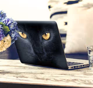 Laptop matricák Laptop matricák