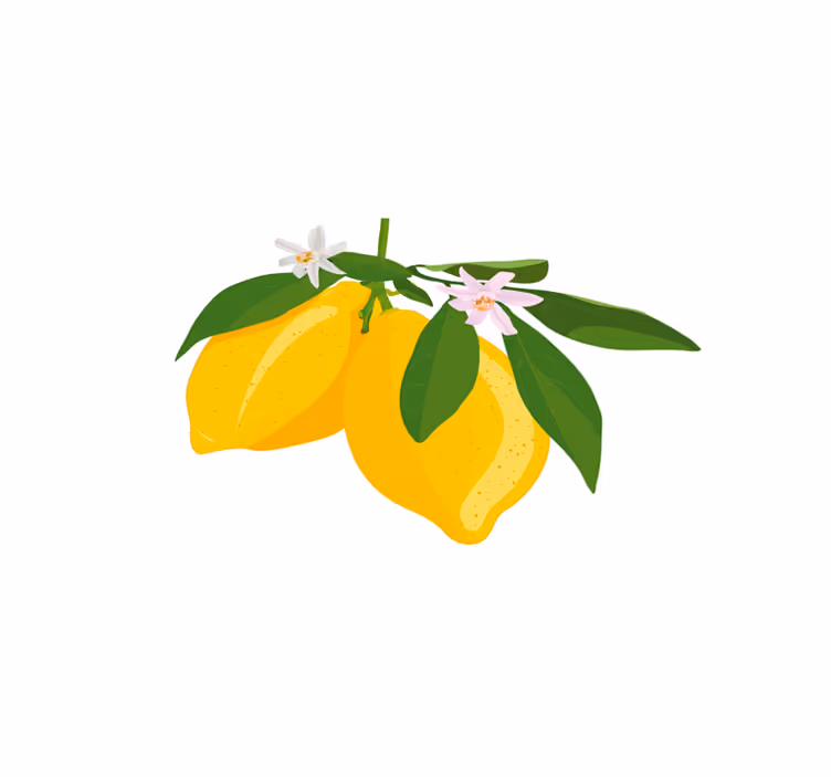 Citromágas illusztráció - tányéralátétek eredeti - TenStickers