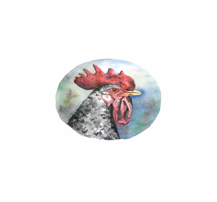 Színes kakas portré - tányéralátétek eredeti - TenStickers