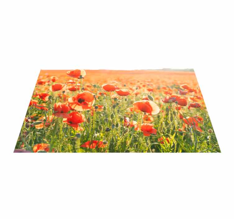 Piros pipacsok egy napsütéses mezőn eredeti helytakarók - TenStickers