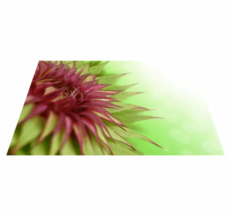 Tányéralátétek elegáns bogáncs - TenStickers