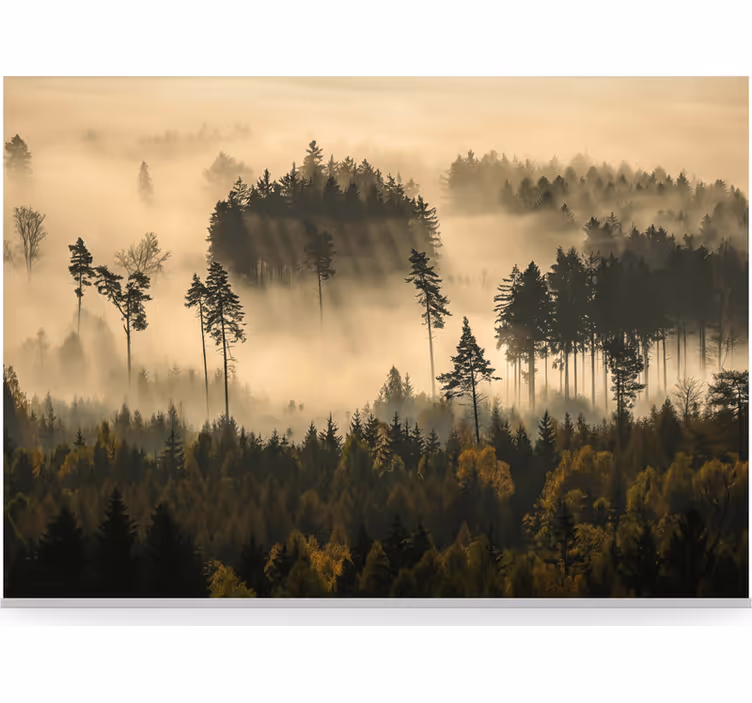 Ethereal morning mist erdei festmények - TenStickers