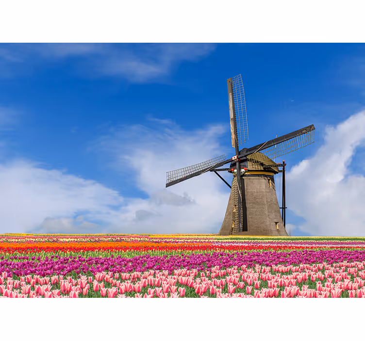 Tulipán mező és szélmalom falfestmény - TenStickers