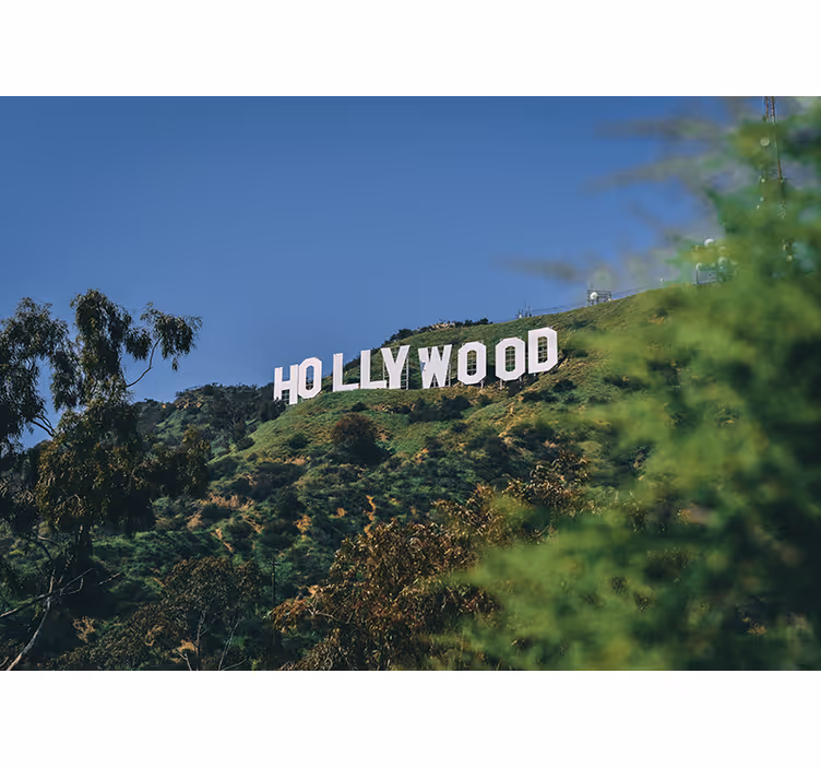 Hollywood jel falfestmény - TenStickers