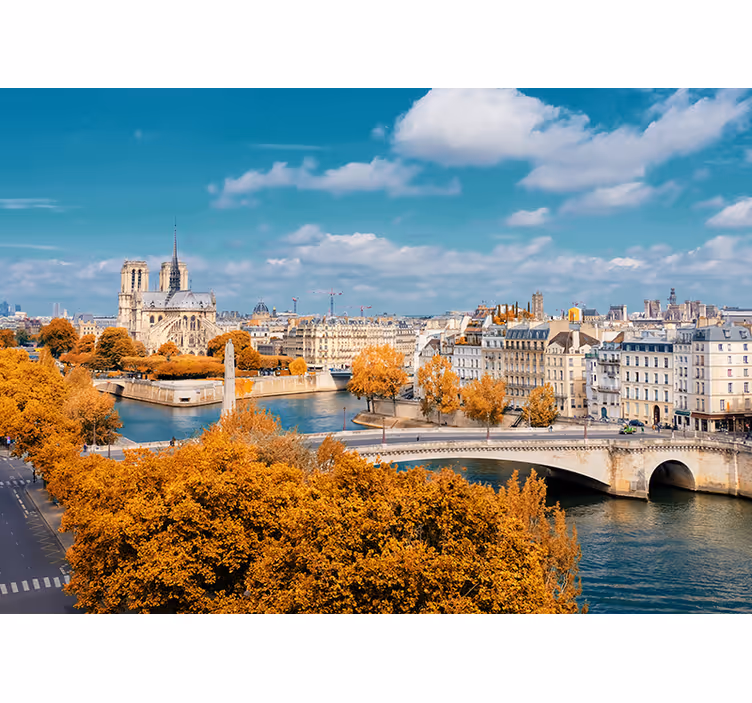 Notre dame párizsi falfestmény - TenStickers