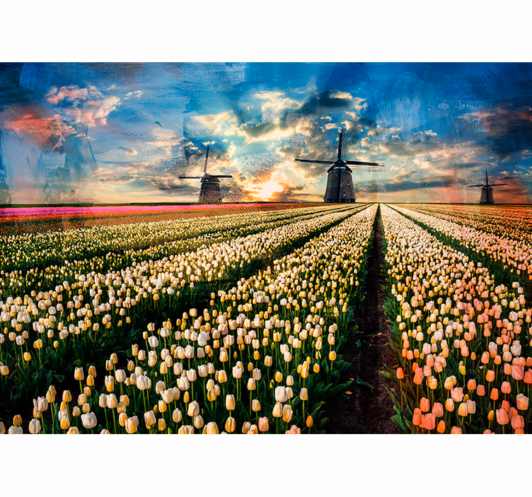Holland tulipánmező falfestmény - TenStickers