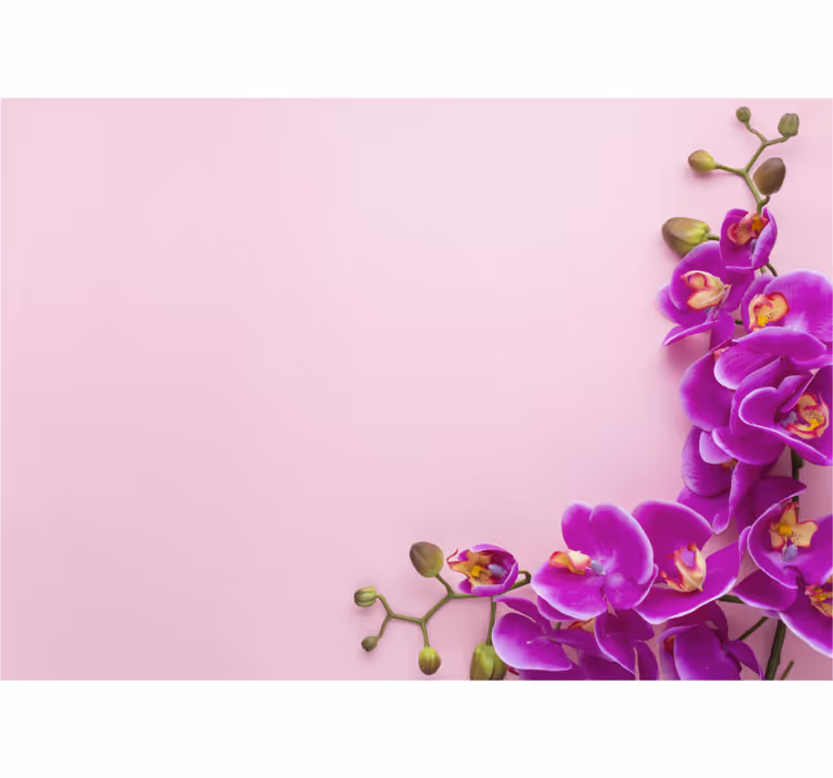Rózsaszín háttér orchidea falfestmény - TenStickers