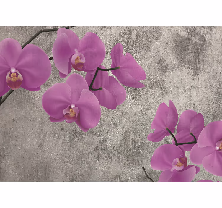 Rózsa orchidea virág falfestmények - TenStickers
