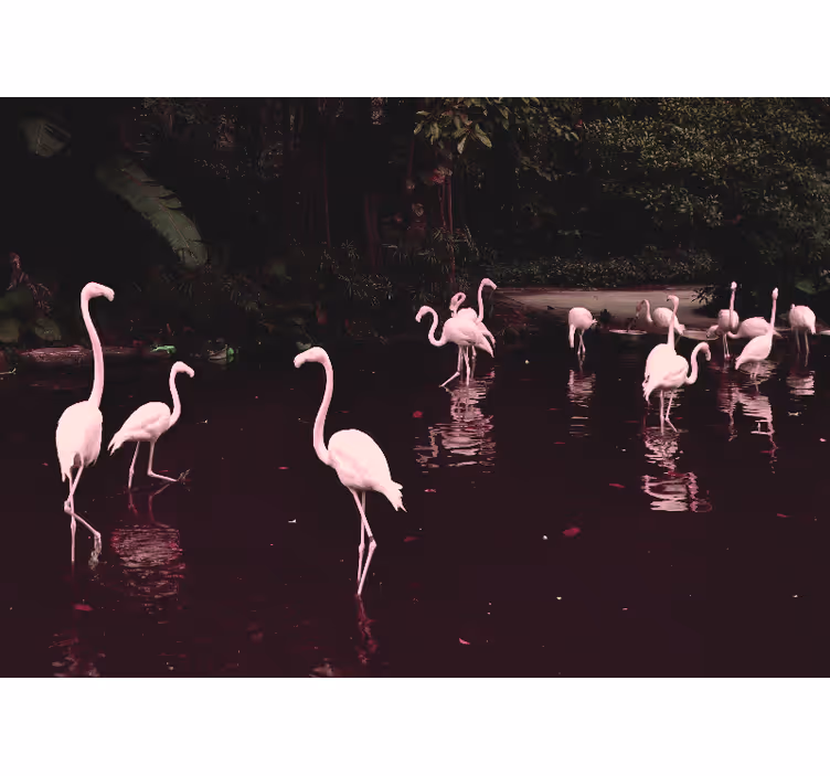 Elegáns flamingók találkozója fotomural iroda - TenStickers