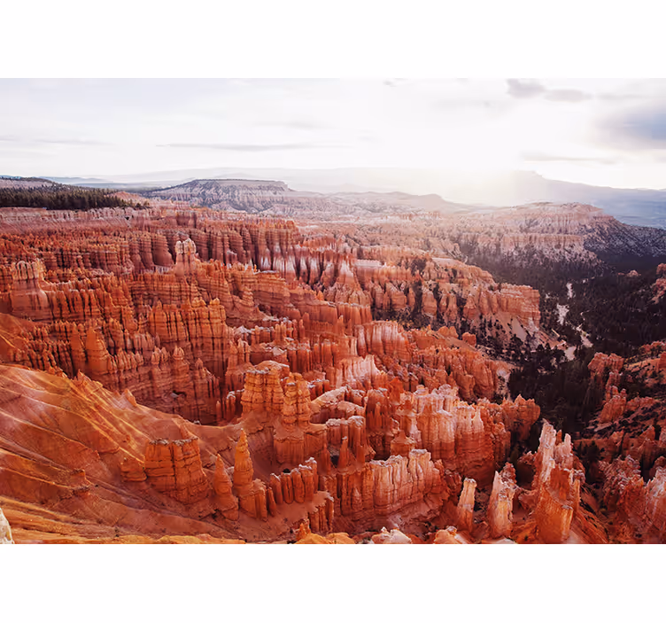 Bryce canyon kilátás táj falfestmények - TenStickers