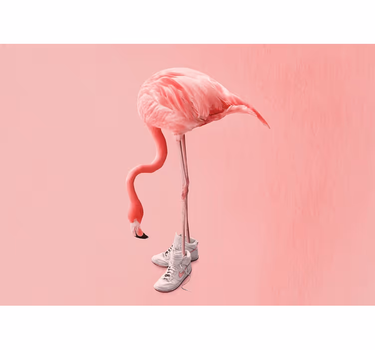 Flamingó edzőcipőben - más állat falfestmények - TenStickers