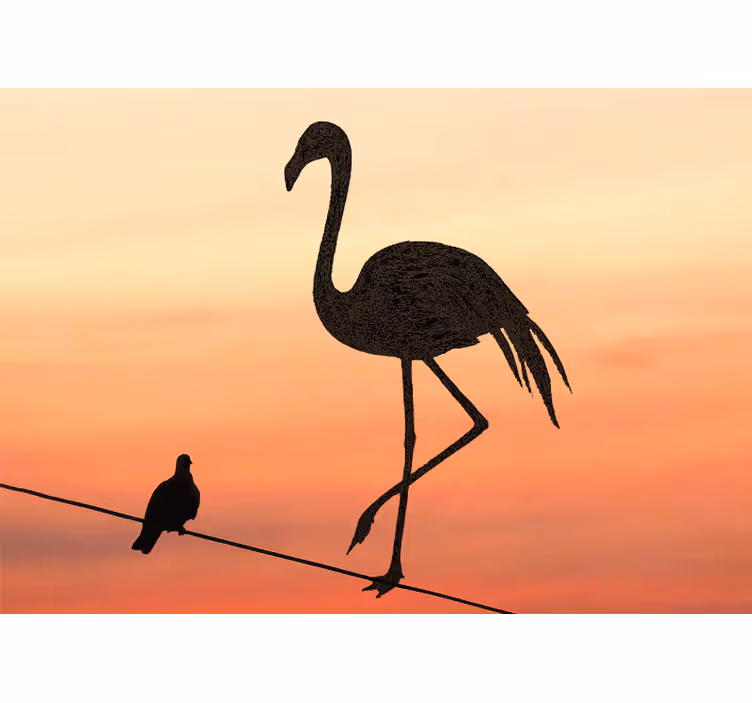 Kecses flamingó naplemente Állati fototapéta - TenStickers