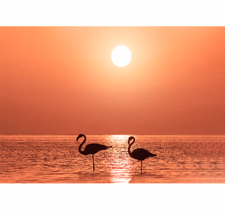 Flamingó naplemente jelenet Állati falfestmények - TenStickers