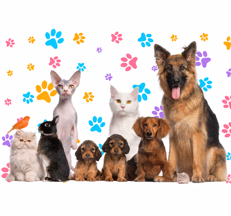 Boldog háziállat társak Állati falfestmények - TenStickers