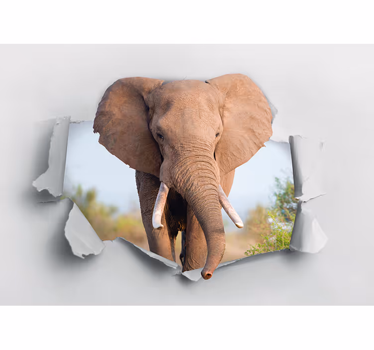 Elefánt megtöri a 3d -s falfestményt - TenStickers