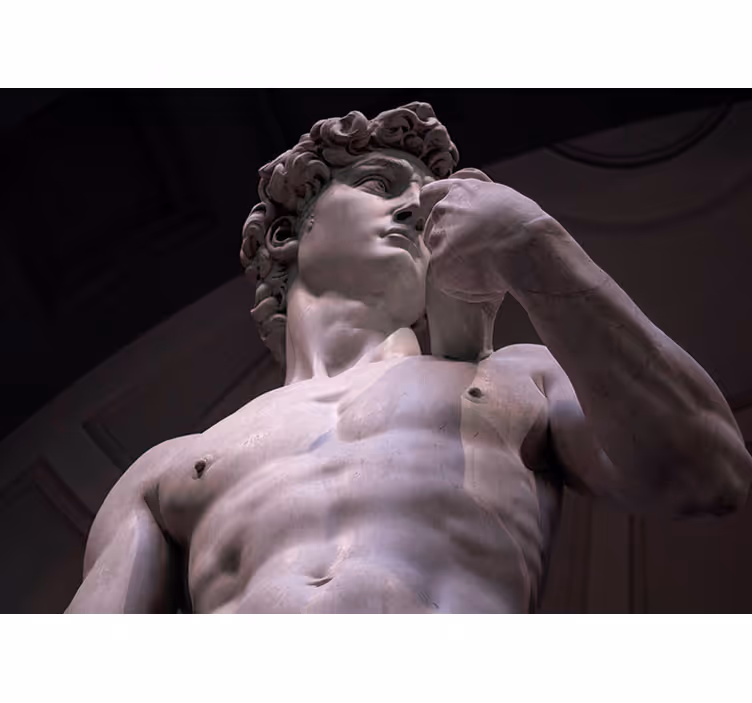 Michelangelo david klasszikus művészeti falfestménye - TenStickers