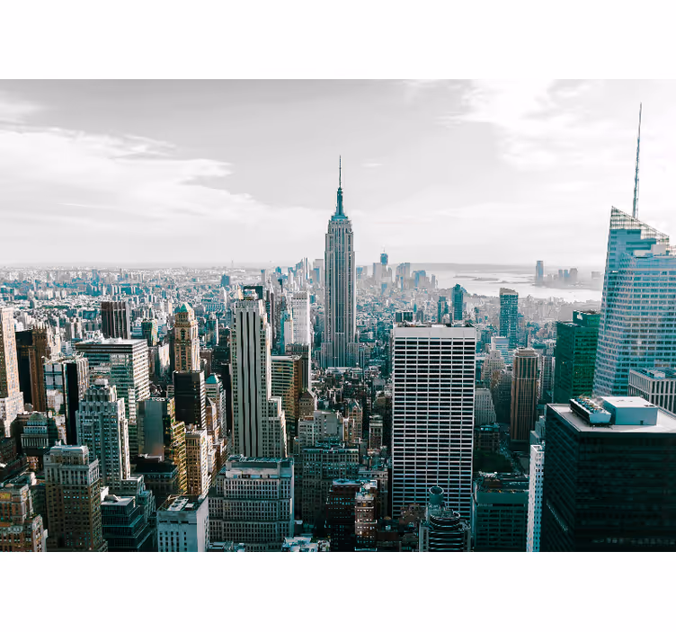 Ikonikus városi látkép new york falfestmények - TenStickers