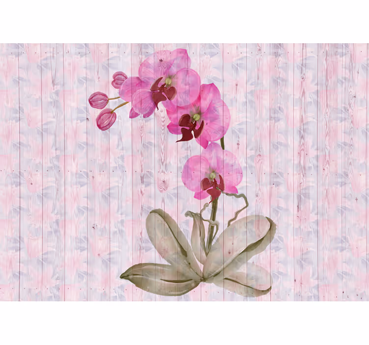 Rózsaszín orchidea virág falfestmények - TenStickers