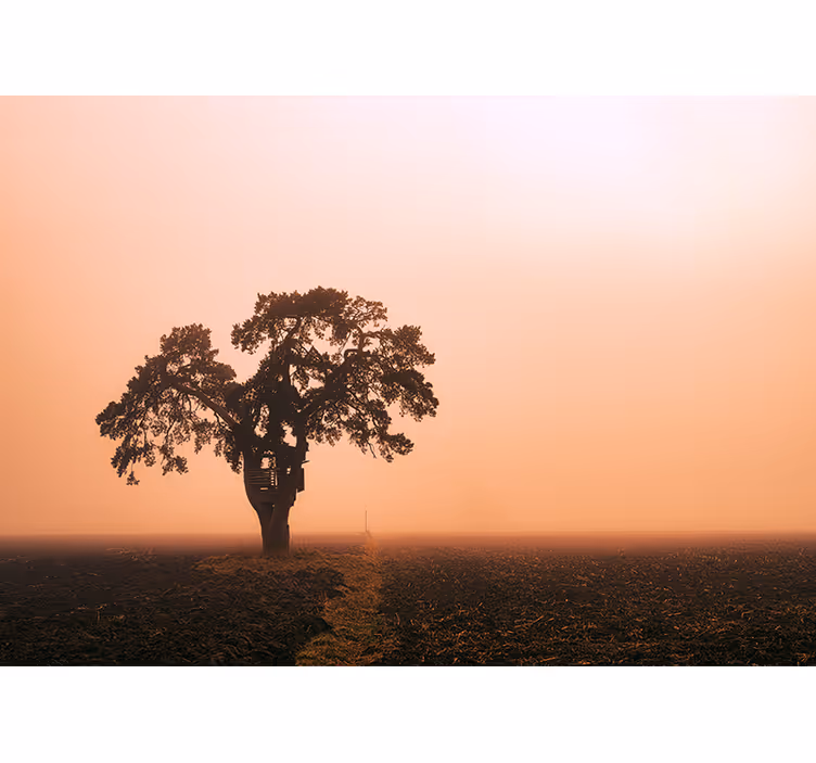 Fenséges szavannafa Afrikai stílusú fototapéta - TenStickers