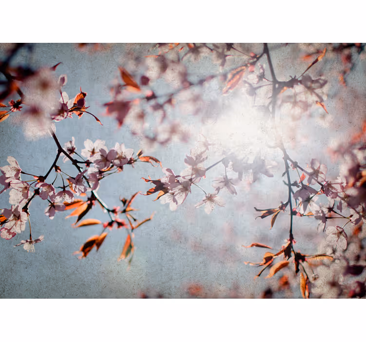 Sakura Ágak virág falfestmények - TenStickers