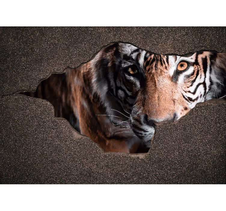 Tigris közeli nézet - más állat falfestmények - TenStickers