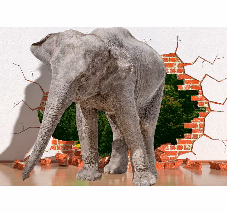 3d óriás elefánt falfestmény - TenStickers