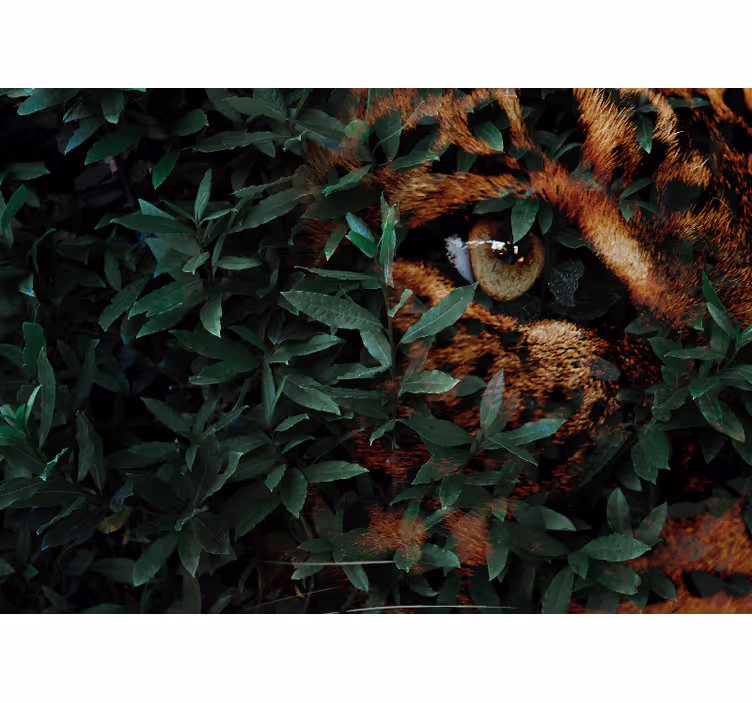 Leopárd lombozat között Állati fototapéta - TenStickers