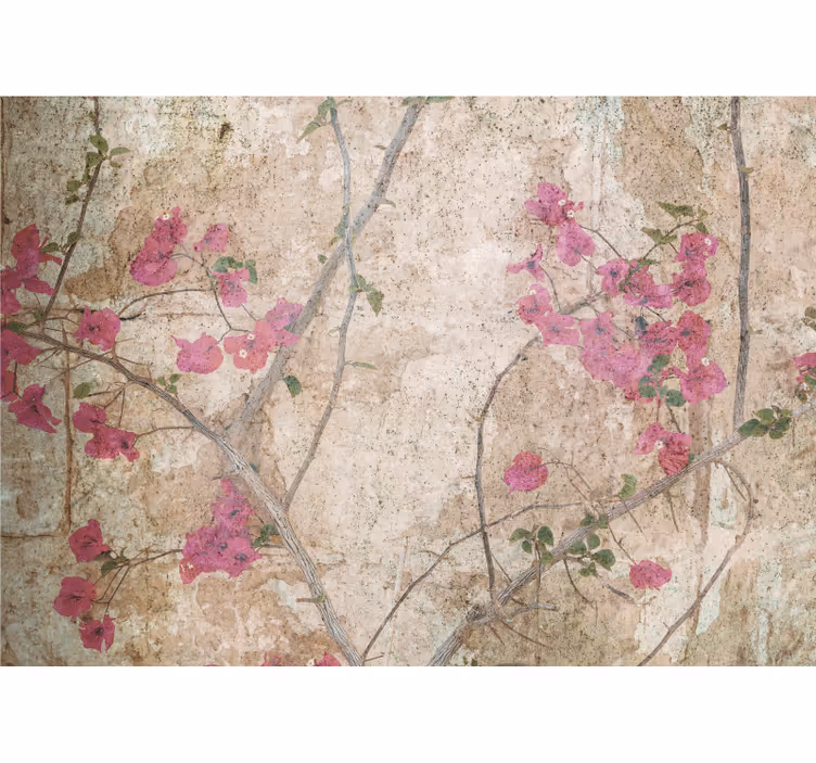 Rózsaszín bougainvillea virág falfestmények - TenStickers