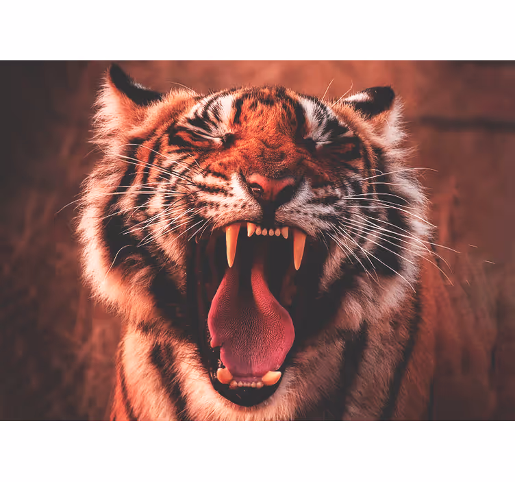 Csodálatos tigris ébredő falfestmény - TenStickers