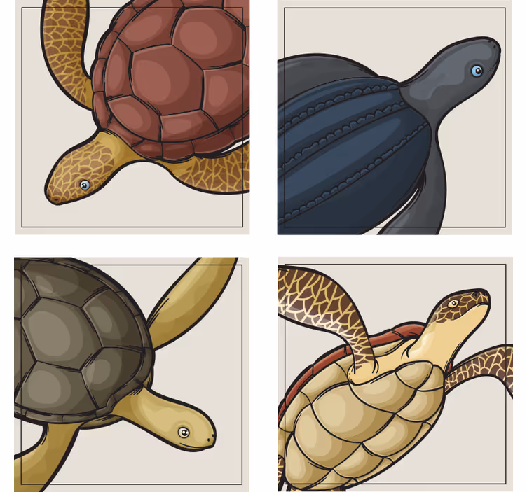 Színes teknős illusztrációk poháralátétek szörnyszülött - TenStickers