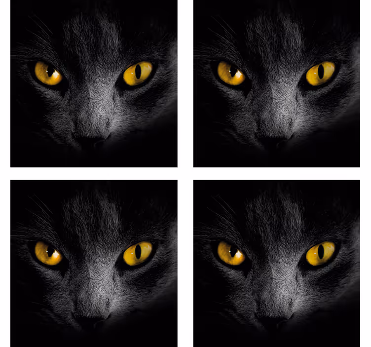 Fekete macska halloween alátét - TenStickers